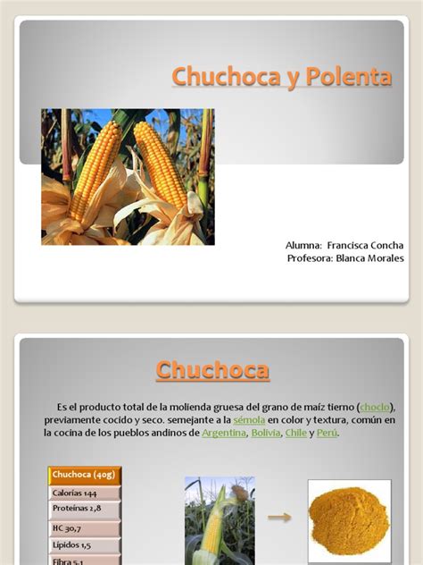 Esquema comparativo: Proceso de elaboración de la chuchoca (maíz tierno) frente a la polenta (maíz seco)