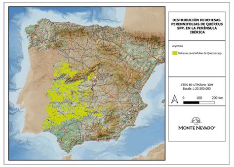 Mapa de las dehesas de Extremadura mostrando la distribución de las zonas de producción de jamón ibérico.