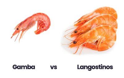 Esquema visual sobre las diferencias de tamaño entre gambas y langostinos y el tiempo de cocción recomendado para cada uno