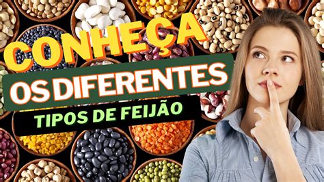 Tabela comparativa dos diferentes tipos de feijão, com suas características e usos culinários