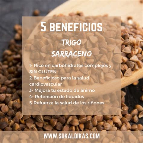 infografía sobre los beneficios del trigo sarraceno