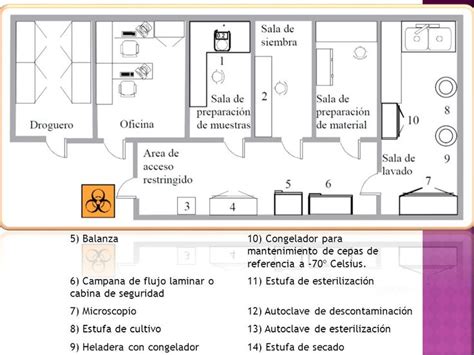Esquema de un laboratorio de microbiología realizando pruebas con medios de cultivo