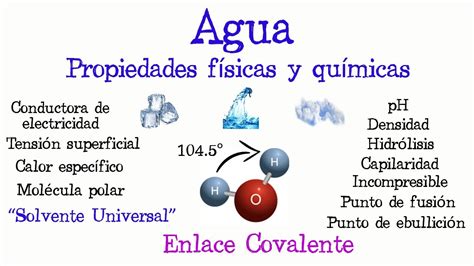 Esquema sobre la composición química del agua y los factores que influyen en su percepción sensorial y valor comercial.