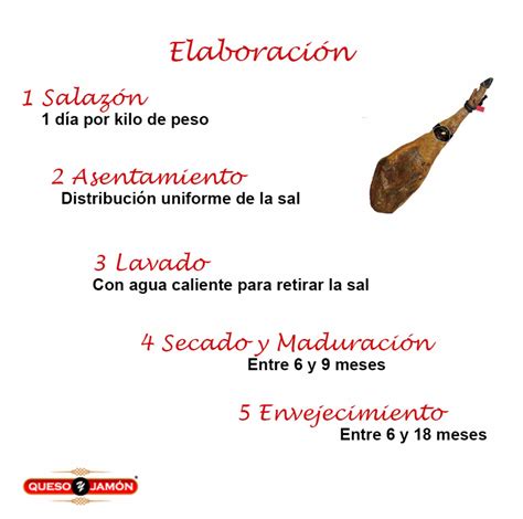 Esquema ilustrativo del proceso de elaboración del jamón serrano: desde la recepción de la materia prima hasta la curación en bodega.