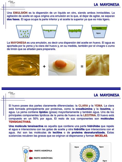 Infografía: Componentes y tipos de emulsión en mayonesa