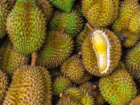 Fruta Durian con espinas, cortada para mostrar la pulpa amarilla