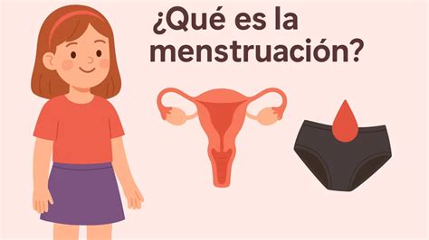 Infografía que muestra diferentes mitos culinarios asociados a la menstruación (mayonesa cortada, pan que no sube, etc.).