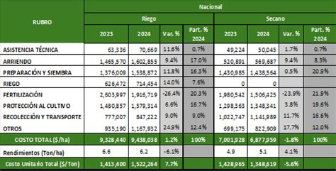 Infografía detallando la estructura de costos de producción del arroz paddy verde por rubro y zona