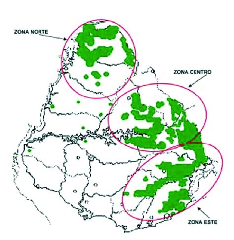 Mapa de las zonas arroceras con las áreas sembradas estimadas, diferenciando riego y secano