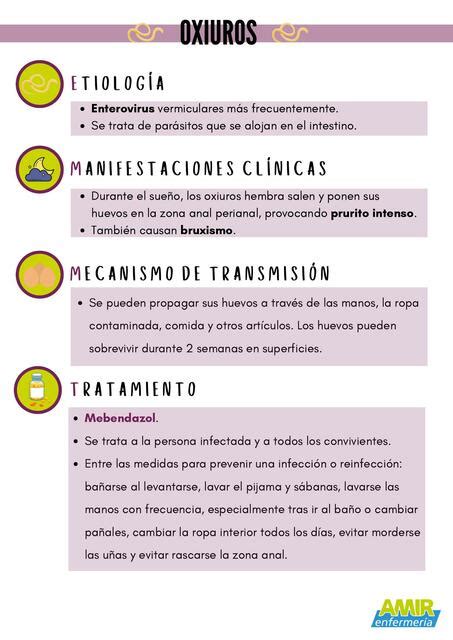 Infografía sobre los pasos para el tratamiento y prevención de oxiuros