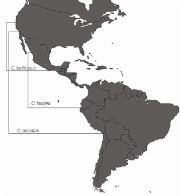 Mapa de distribución de las especies de jaiba Callinectes arcuatus, C. bellicosus y C. toxotes en el Pacífico Mexicano