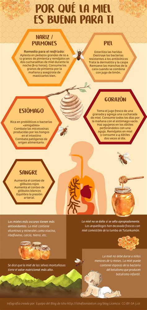 Esquema de las propiedades y usos de la miel en la cocina