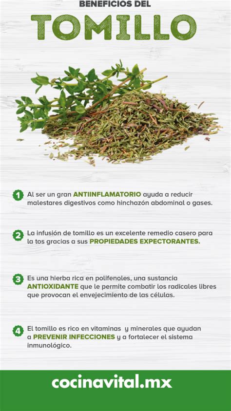 Infografía: perfil aromático del tomillo con sus notas de clavo, alcanfor y menta.