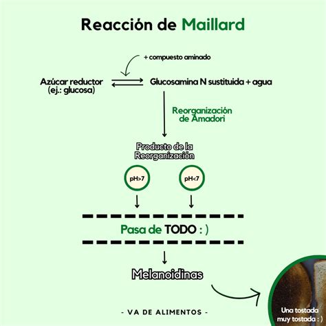 Diagrama esquemático de las etapas de la Reacción de Maillard, mostrando la formación de glicosilaminas, compuestos de Amadori y melanoidinas.