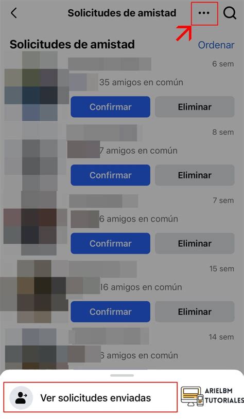 Captura de pantalla de la interfaz de solicitudes de amistad con el botón de Eliminar destacado
