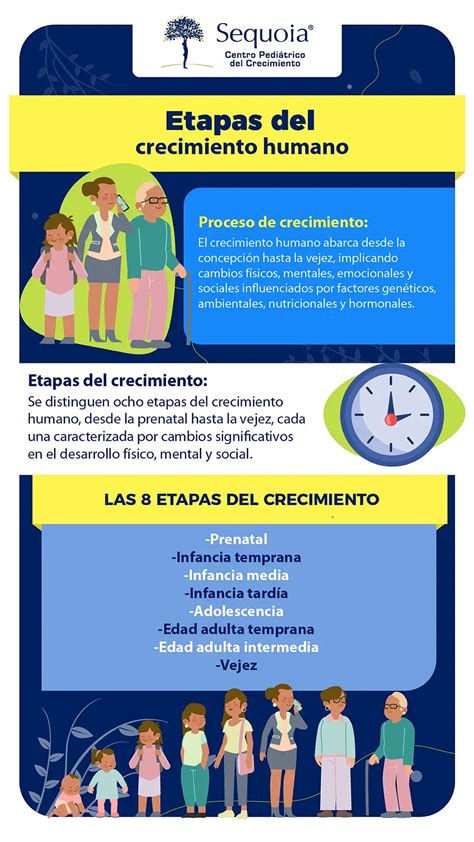 Ilustración de diferentes etapas de crecimiento de la merluza y sus nombres comunes asociados.