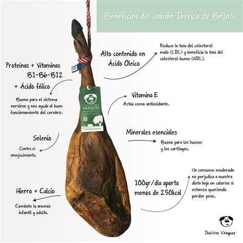 Infografía detallando los beneficios para la salud del jamón ibérico de bellota, destacando el ácido oleico y las vitaminas B.