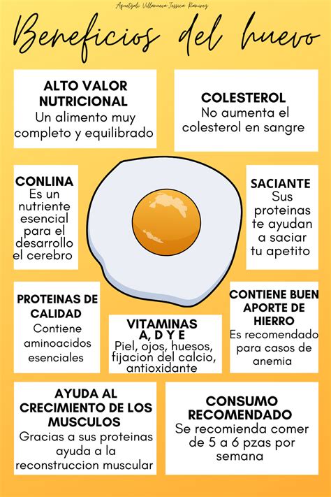 infografía detallando los nutrientes esenciales del huevo y sus beneficios para la salud