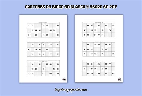 Esquema visual de los elementos necesarios para un bingo: cartones, bombo, bolas numeradas y premios.