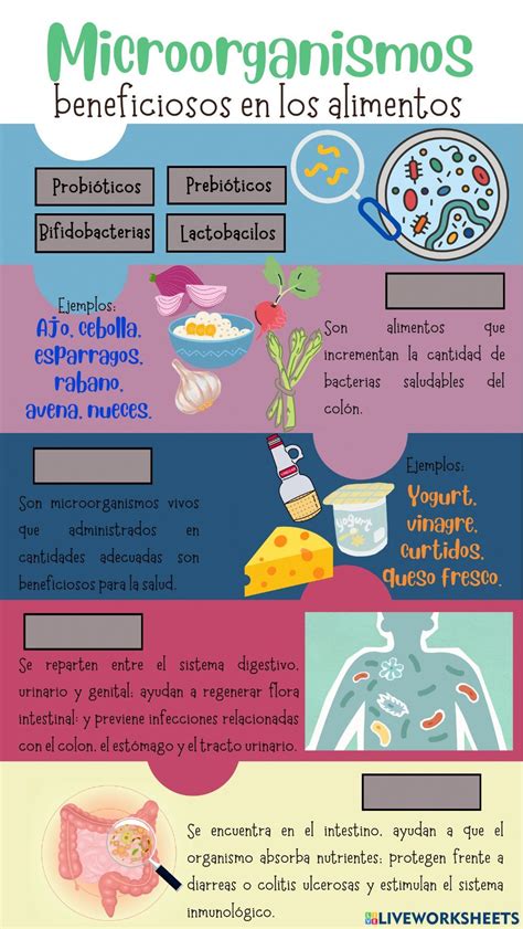 Infografía mostrando los alimentos beneficiosos y perjudiciales para la piel con tendencia acneica.