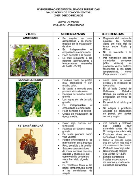 Infografía comparativa de perfiles de sabor de diferentes cepas de levadura Fermentis
