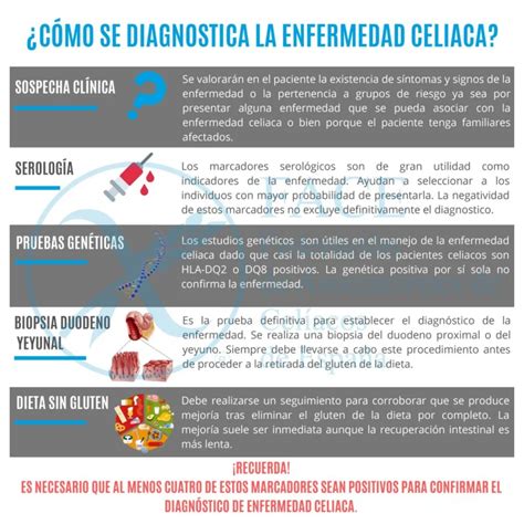 Esquema de las diferentes formas clínicas de la enfermedad celíaca