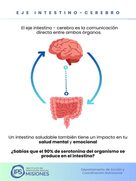 Infografía sobre la conexión intestino-cerebro y su impacto en la salud mental