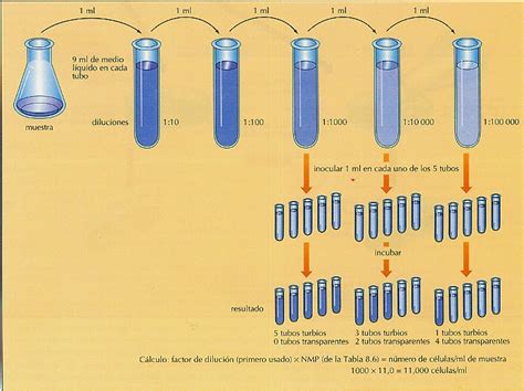 Esquema del procedimiento progresivo de diluciones seriadas para el cálculo del NMP en tubos con caldo de cultivo.