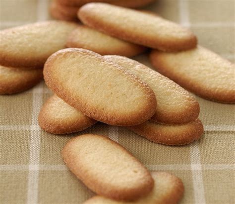 Imagen de una selección variada de galletas con forma de gato o lenguas de gato, algunas bañadas en chocolate.