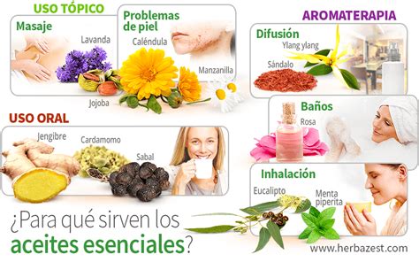 Infografía comparativa: beneficios de los aceites esenciales de naranja frente a los extractos de vainilla en el cuidado labial.