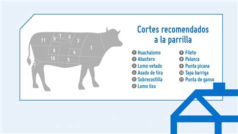 Infografía sobre los cortes de cerdo recomendados para la parrilla