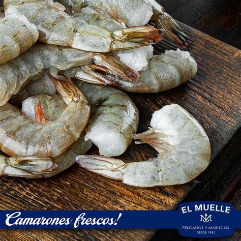 Diversidad de mariscos frescos listos para preparar