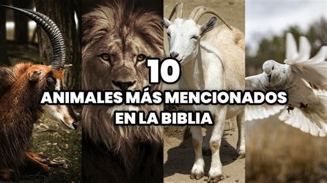 Mosaico de diferentes animales mencionados en la Biblia: abeja, águila, asno, serpiente.