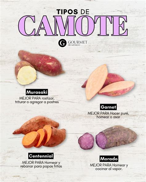 Infografía comparativa de diferentes tipos de tubérculos (camote, papa, yuca, ñame, taro) con sus características principales.