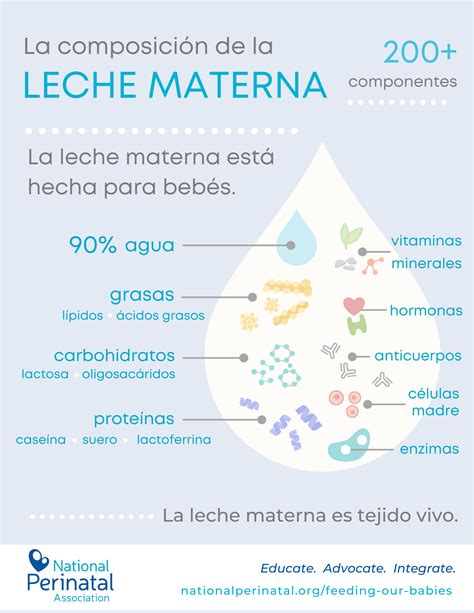 Infografía comparativa mostrando la efectividad de la leche materna frente a otros tratamientos tópicos para diversas afecciones de la piel infantil (dermatitis atópica, del pañal, cuidado del cordón umbilical).