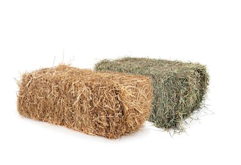 Variedad de materiales orgánicos como paja, heno y recortes de césped listos para ser usados como mantillo en el aporque.