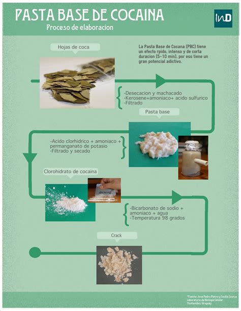 Ilustración esquemática del proceso de producción de pasta base de cocaína, mostrando los residuos de hoja de coca y los químicos utilizados en la extracción.