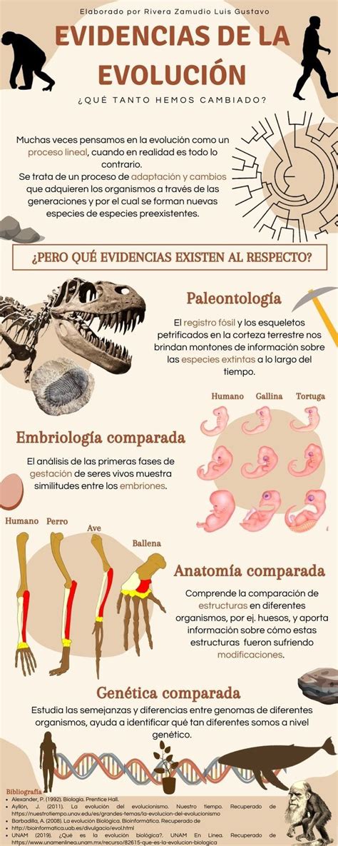 Infografía mostrando la evolución de las lentejas con chorizo en España, destacando sus variantes regionales.