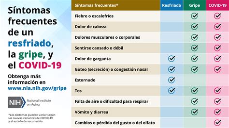 Infografía: Comparativa de síntomas de diferentes virus en frambuesa (RBDV, RpRSV, ArMV)