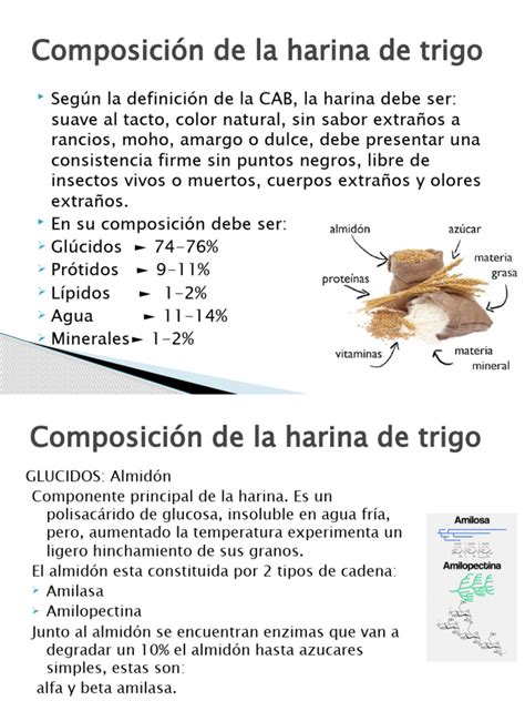 infografía comparativa de la composición de harina de trigo refinada e integral