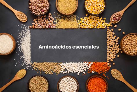 infografía detallando los aminoácidos esenciales presentes en la pechuga de pollo