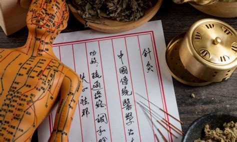 Representación de la medicina tradicional china utilizando ingredientes naturales