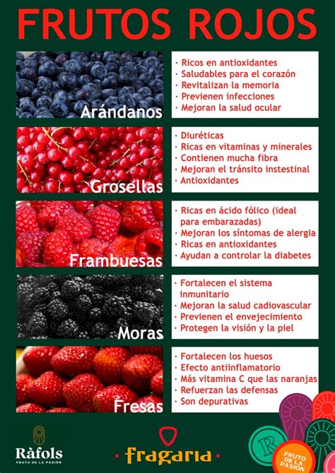 Gráfico comparativo del contenido de antioxidantes en diferentes frutos rojos.