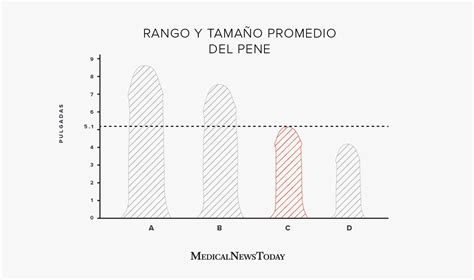 Esquema anatómico comparativo que muestra la diferencia entre un pene de tamaño promedio y un micropene, señalando los criterios de medición.
