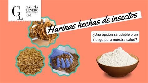 Infografía: Composición nutricional de harinas de insectos vs. soja