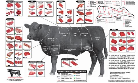 Diferentes cortes de carne de res, incluyendo bife de chorizo, en una carnicería de calidad