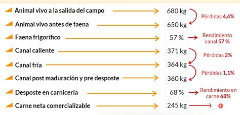 Infografía comparando el rendimiento de carne de pechuga en pollos con diferentes condiciones de crecimiento