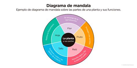 Ejemplo de mandala con tonos verde agua y pasteles, mostrando áreas circulares o rectangulares claramente definidas para la escritura dentro de sus secciones.