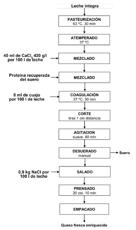 Diagrama del proceso de elaboración del queso, mostrando la separación del suero y la cuajada, y la acción de las bacterias en la maduración.