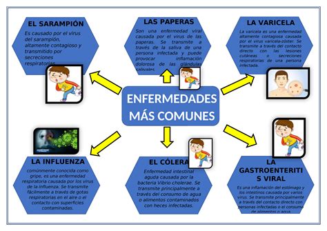 Esquema visual de las enfermedades comunes de la acelga